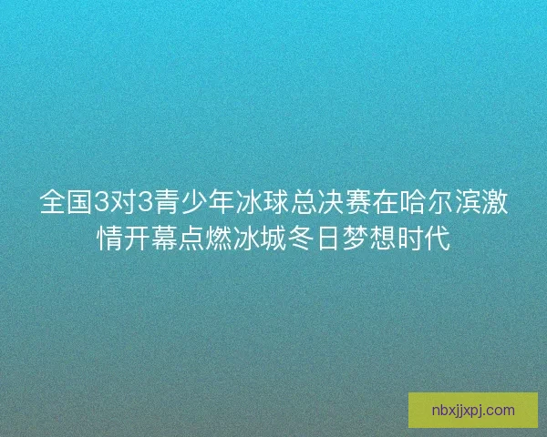 全国3对3青少年冰球总决赛在哈尔滨激情开幕点燃冰城冬日梦想时代